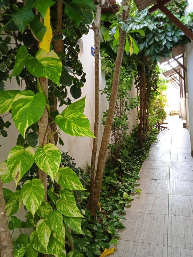 La Perla Otel Praia de Pipa Dış mekan fotoğraf